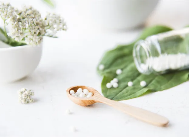 homéopathie à Issoudin dans l'Indre 36